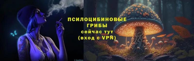 кракен зеркало  Миллерово  Галлюциногенные грибы Magic Shrooms  где купить наркотик 